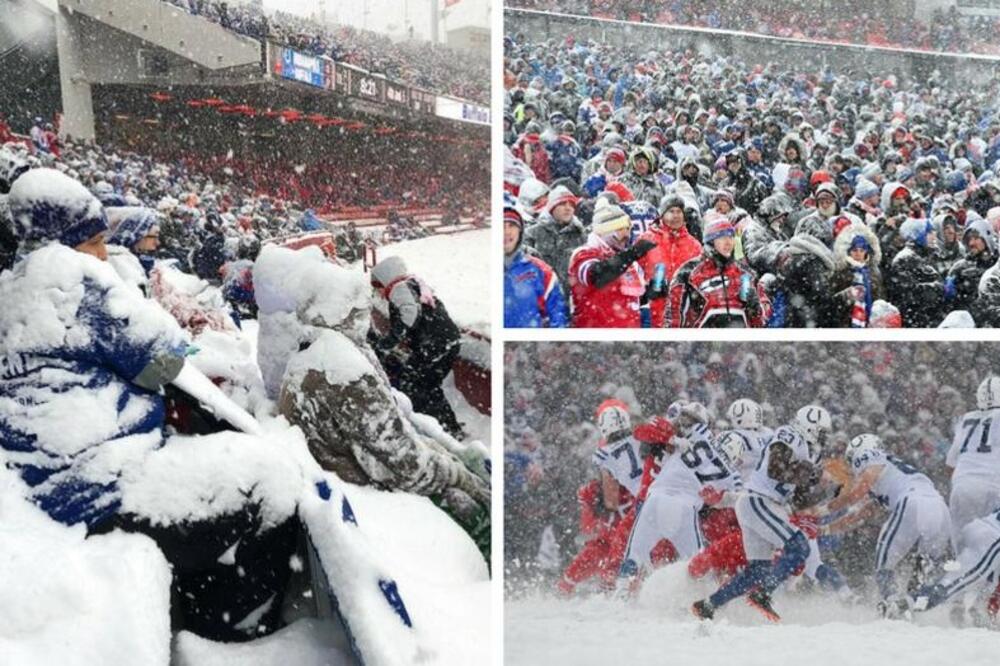 Navijači, Foto: Twitter