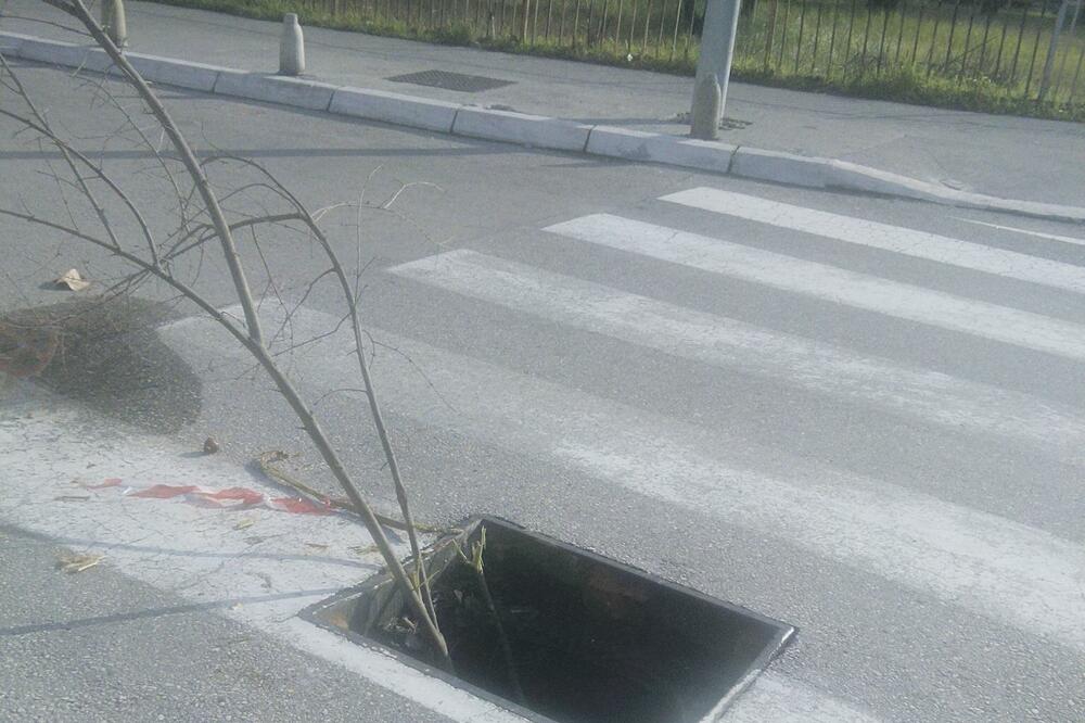 krađa šahte, Foto: Čitalac "Vijesti"