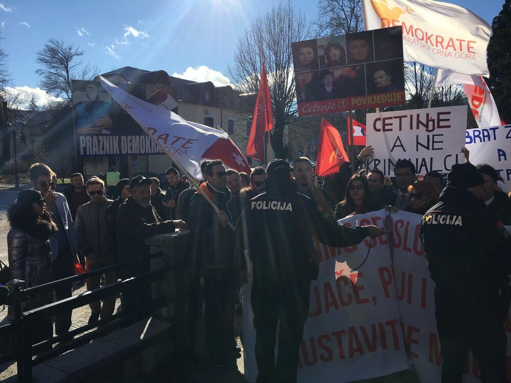 Cetinje protest