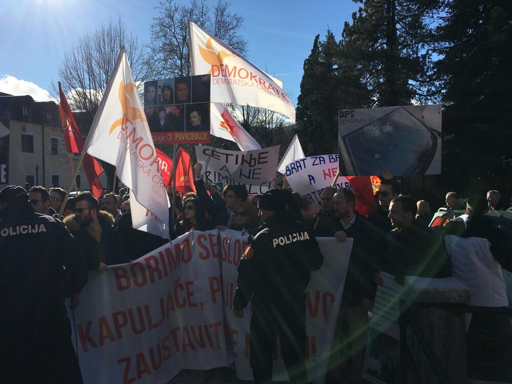 Cetinje protest