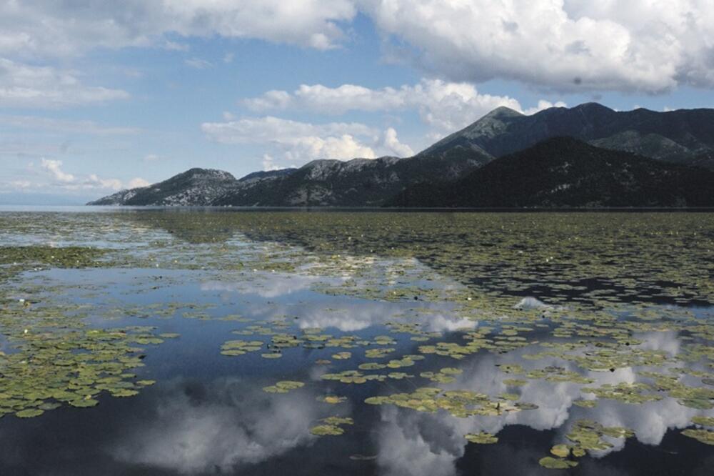 Skadarsko jezero, Foto: Luka Zeković