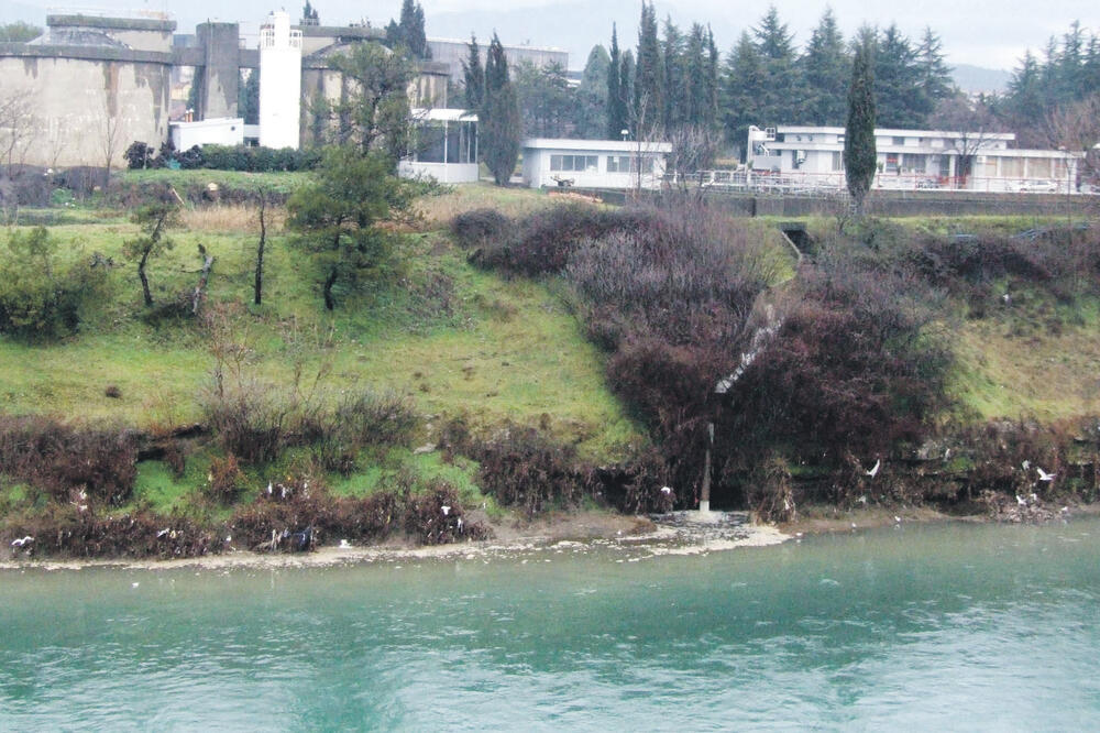 Kolektor, Foto: Luka Zeković