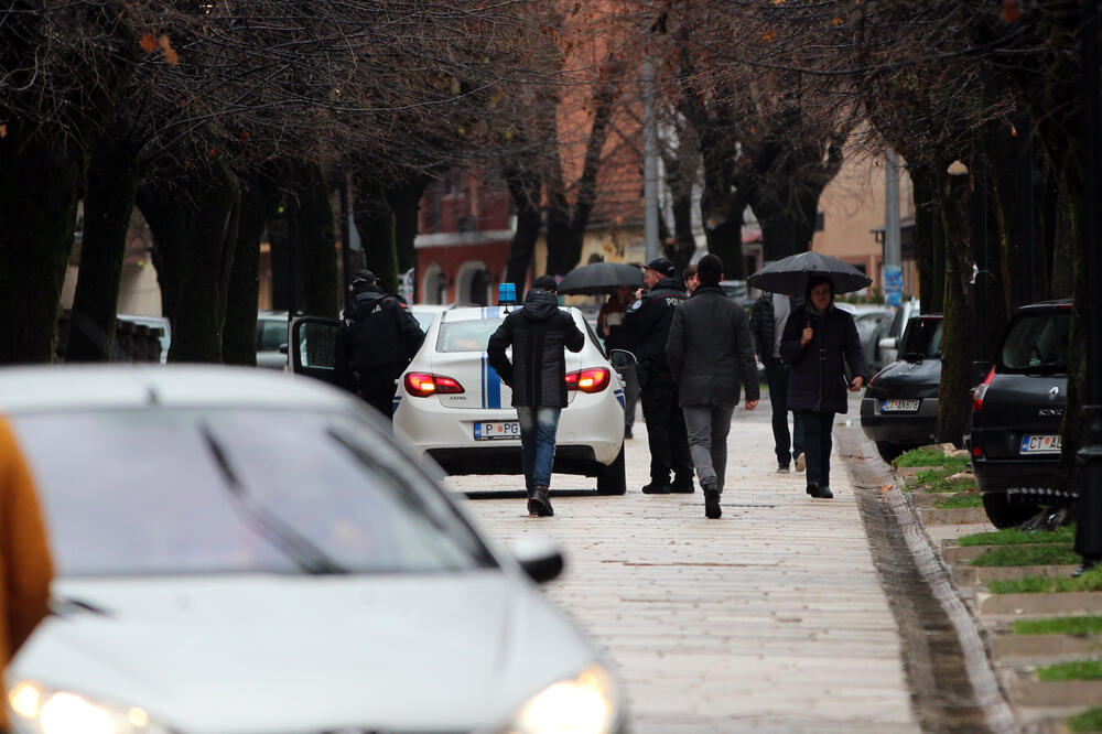 Cetinje izbori Obod Genex, Foto: Filip Roganović