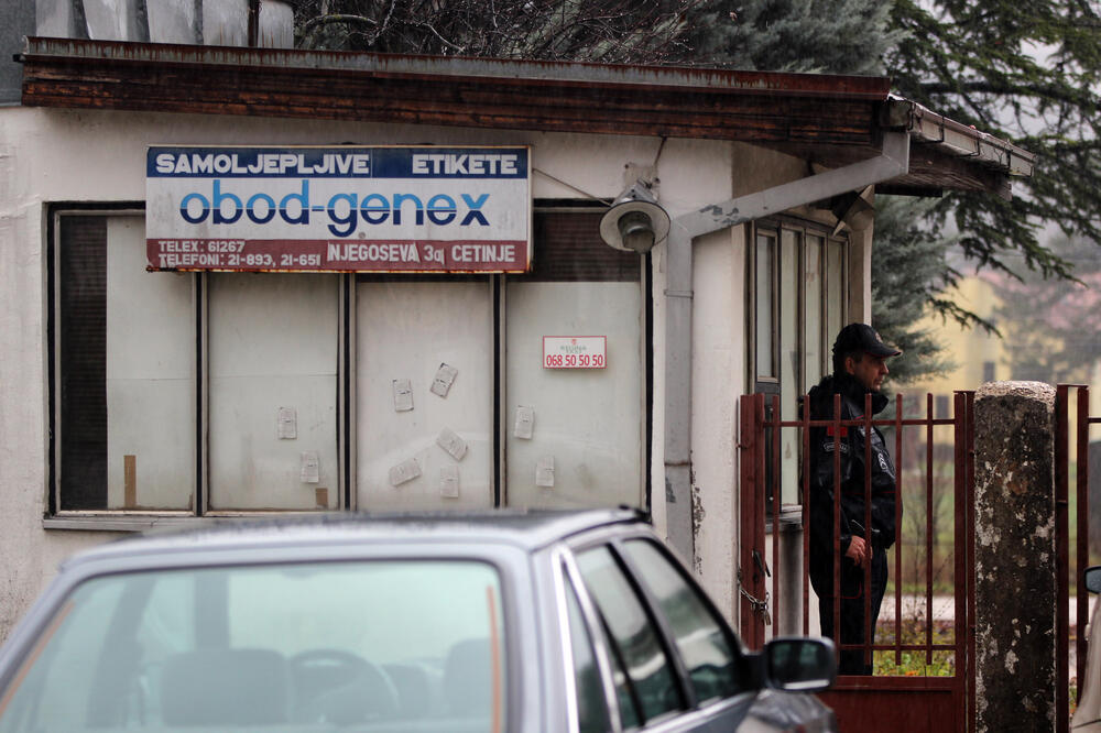 Cetinje izbori Obod Genex, Foto: Filip Roganović