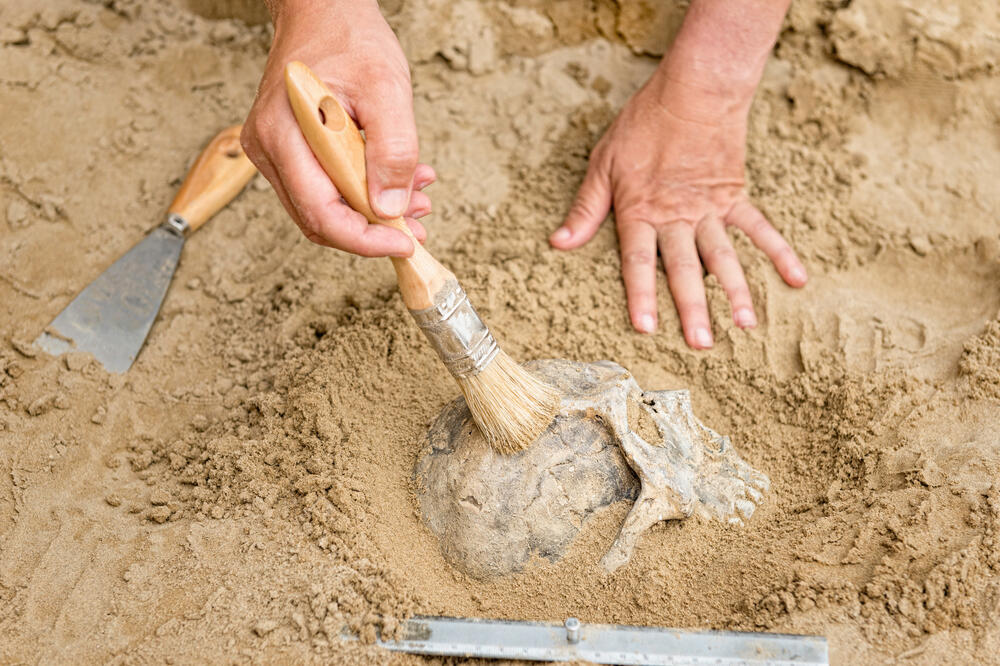 arheolog, arheologija, Foto: Shutterstock