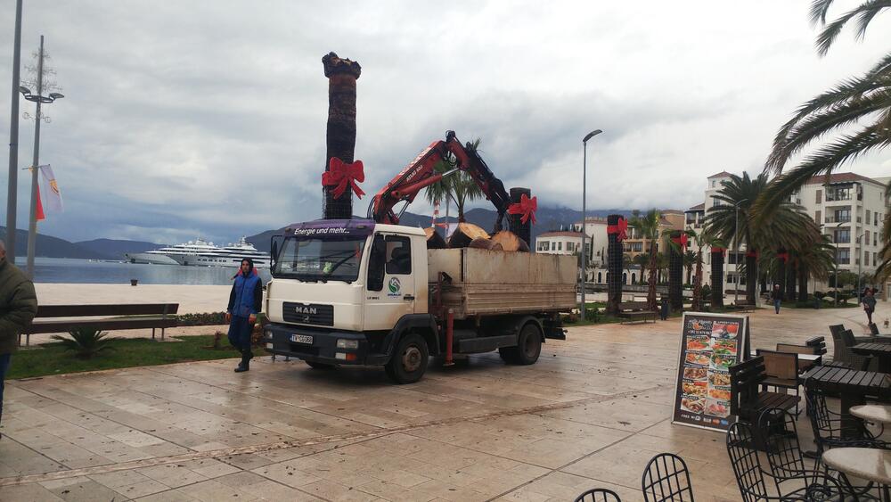 tivatska riva, palme