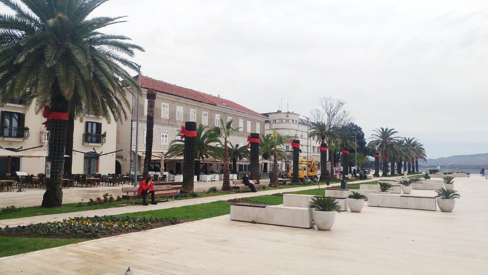 tivatska riva, palme