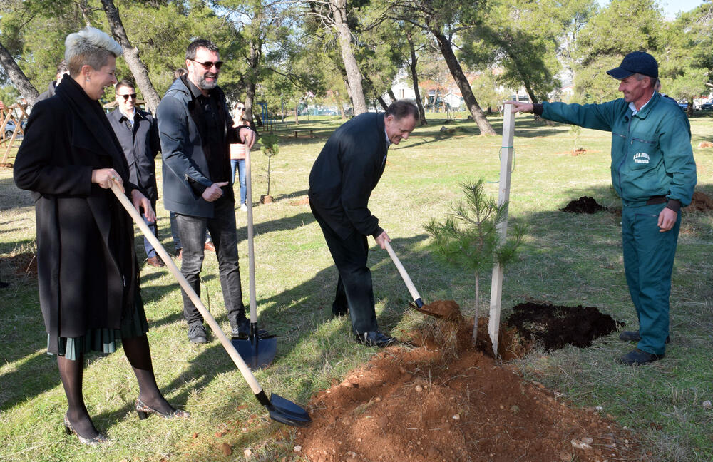 Zlatička šuma, Slavoljub Stijepović