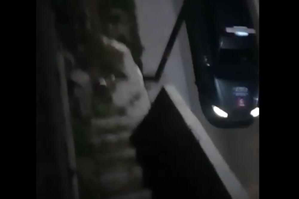 Komunalna policija Cetinje, Foto: Screenshot (YouTube)