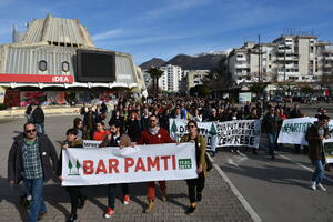 Protest zbog sječe čempresa u Baru u nedjelju