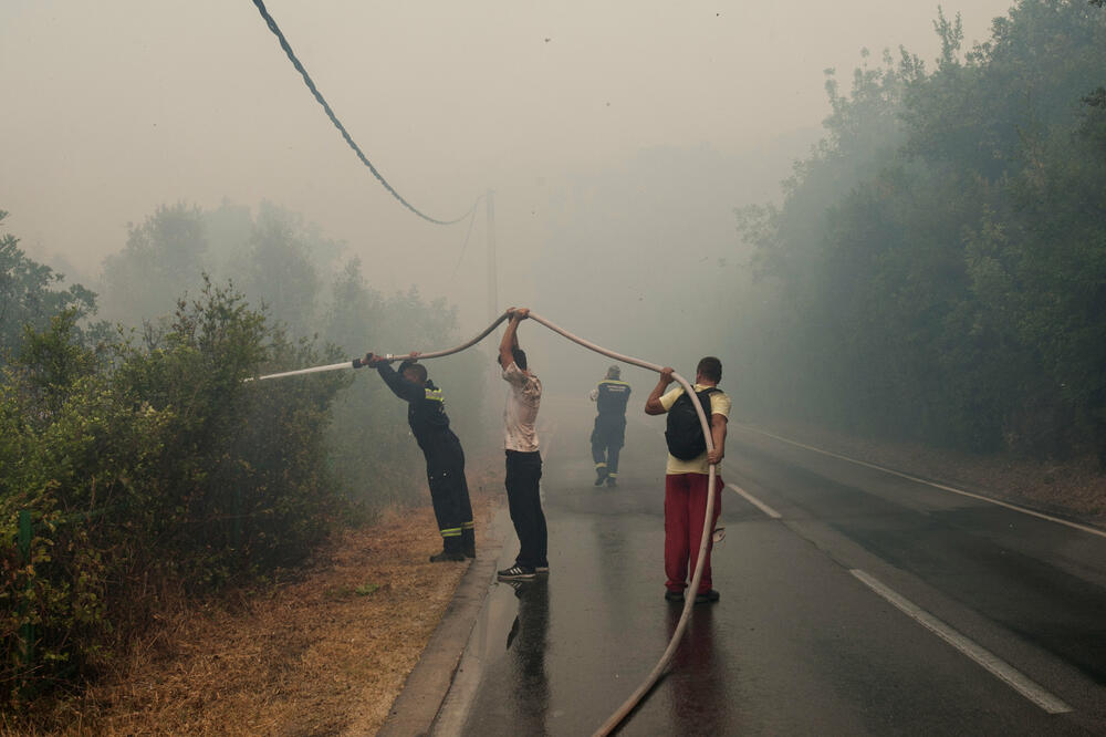 Luštica požar, Foto: Reuters