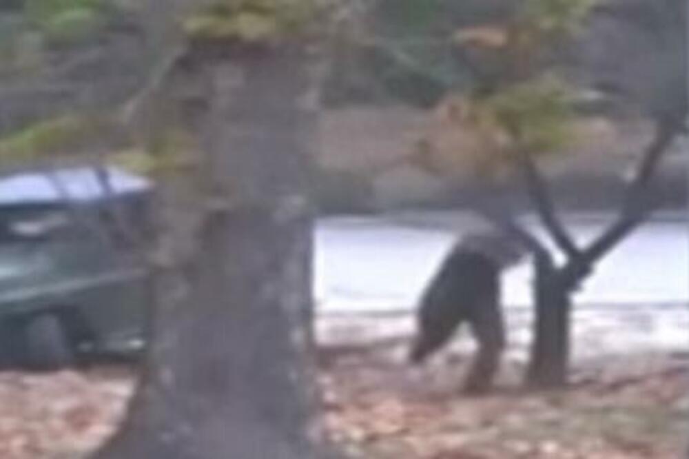 Sjeverna Koreja dezerter, Foto: Screenshot (YouTube)