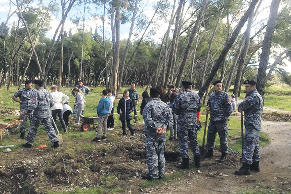 Bar pošumljavanje, Foto: Radomir Petrić