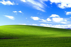 Šta danas radi autor najpoznatije Windows XP fotografije