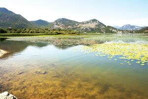 Upozorenje stručnjaka: Ukljeva će nestati iz Skadarskog jezera,...