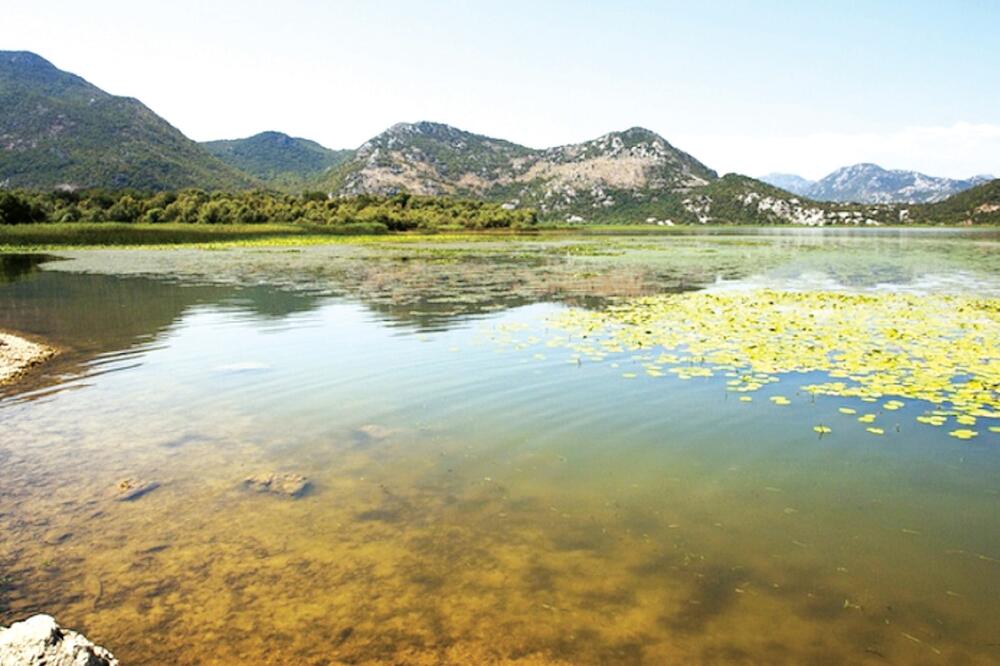 Skadarsko jezero, Foto: Shutterstock.com