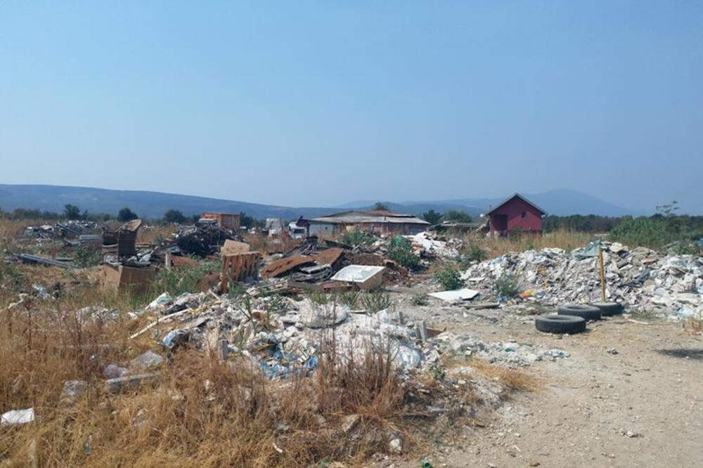 Lovanja, Foto: Siniša Luković