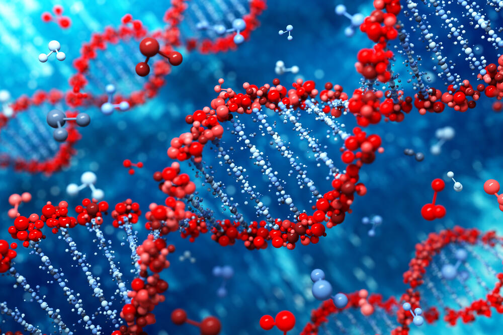 DNK, geni, Foto: Shutterstock