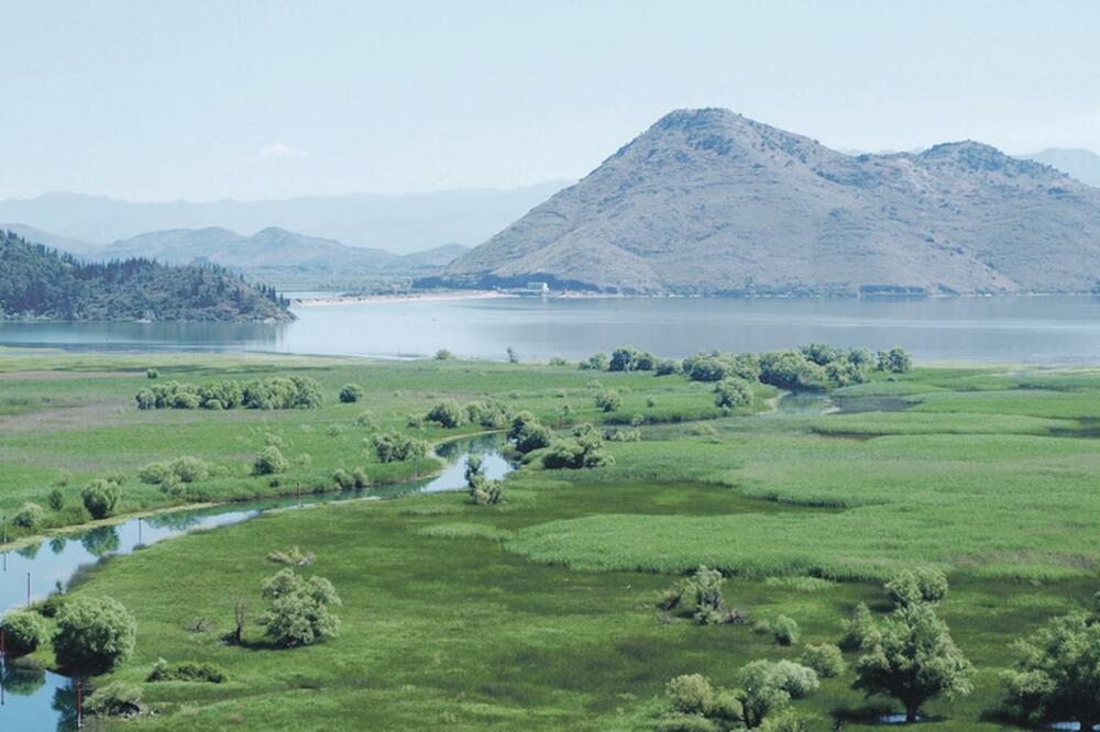 Skadarsko jezero, Foto: Savo Prelević