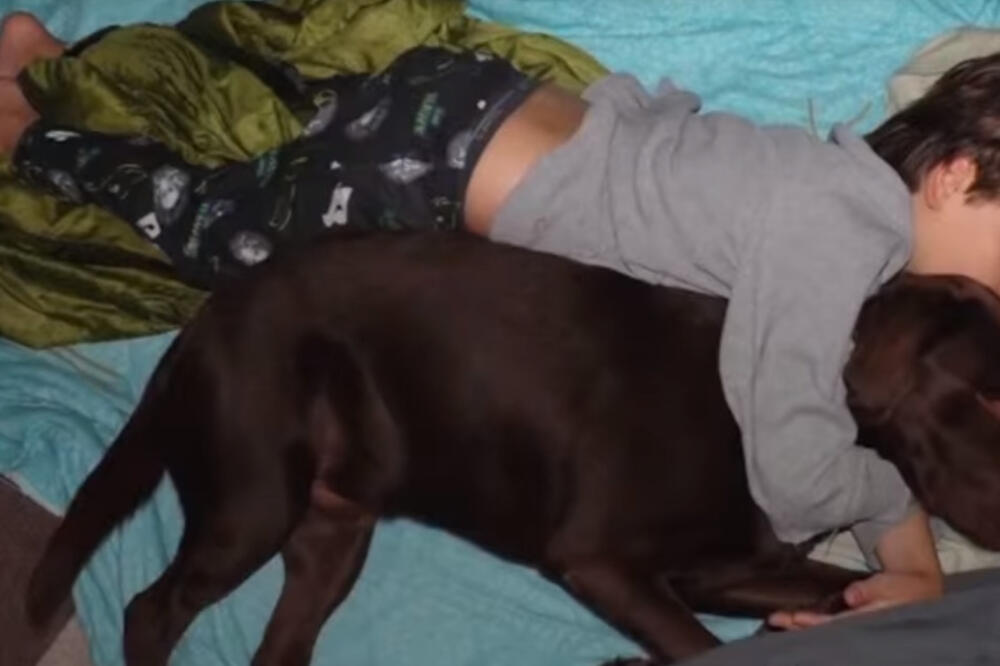 pas, ljubimac, Foto: Screenshot (Youtube)