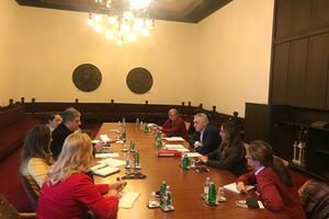Crna Gora i Srbija intenziviraće saradnju u rješavanju...