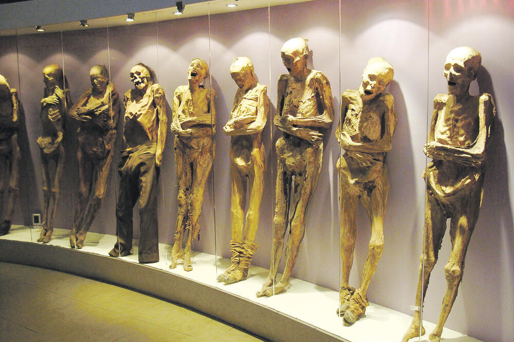 Muzej mumija (novine), Foto: YouTube