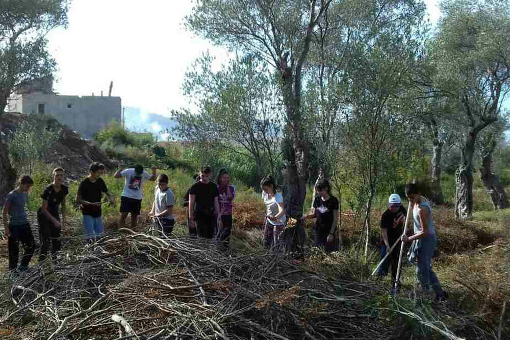 Đaci maslinari, Foto: Privatna arhiva
