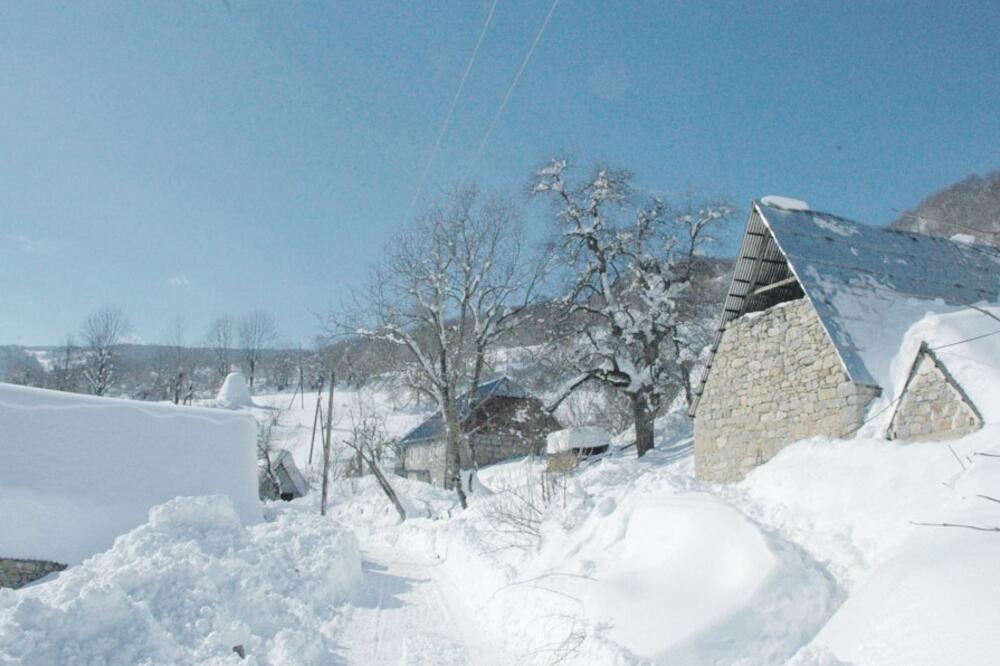 Orah, Piva, Foto: Svetlana Mandić