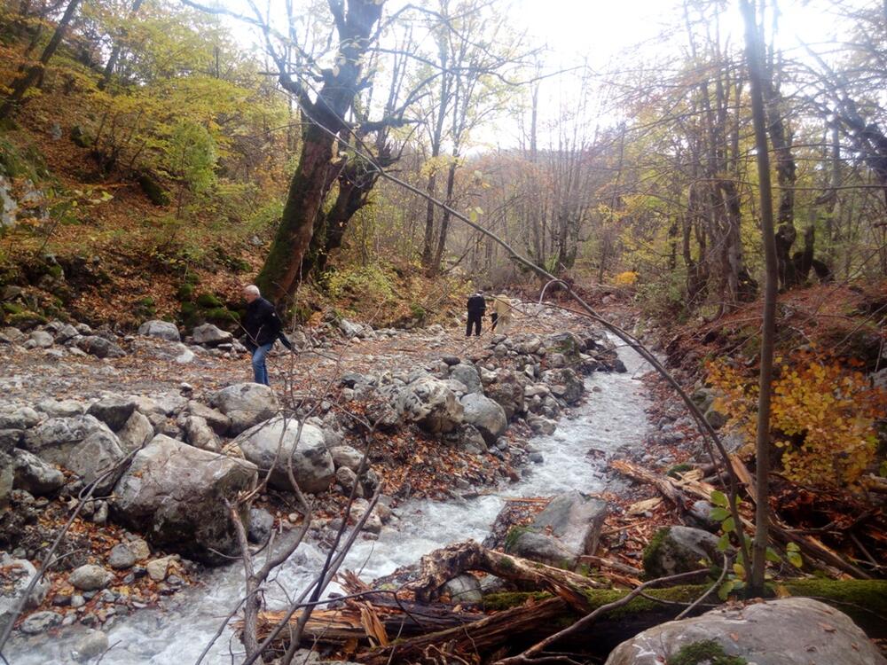 Moračka bistrica, protest