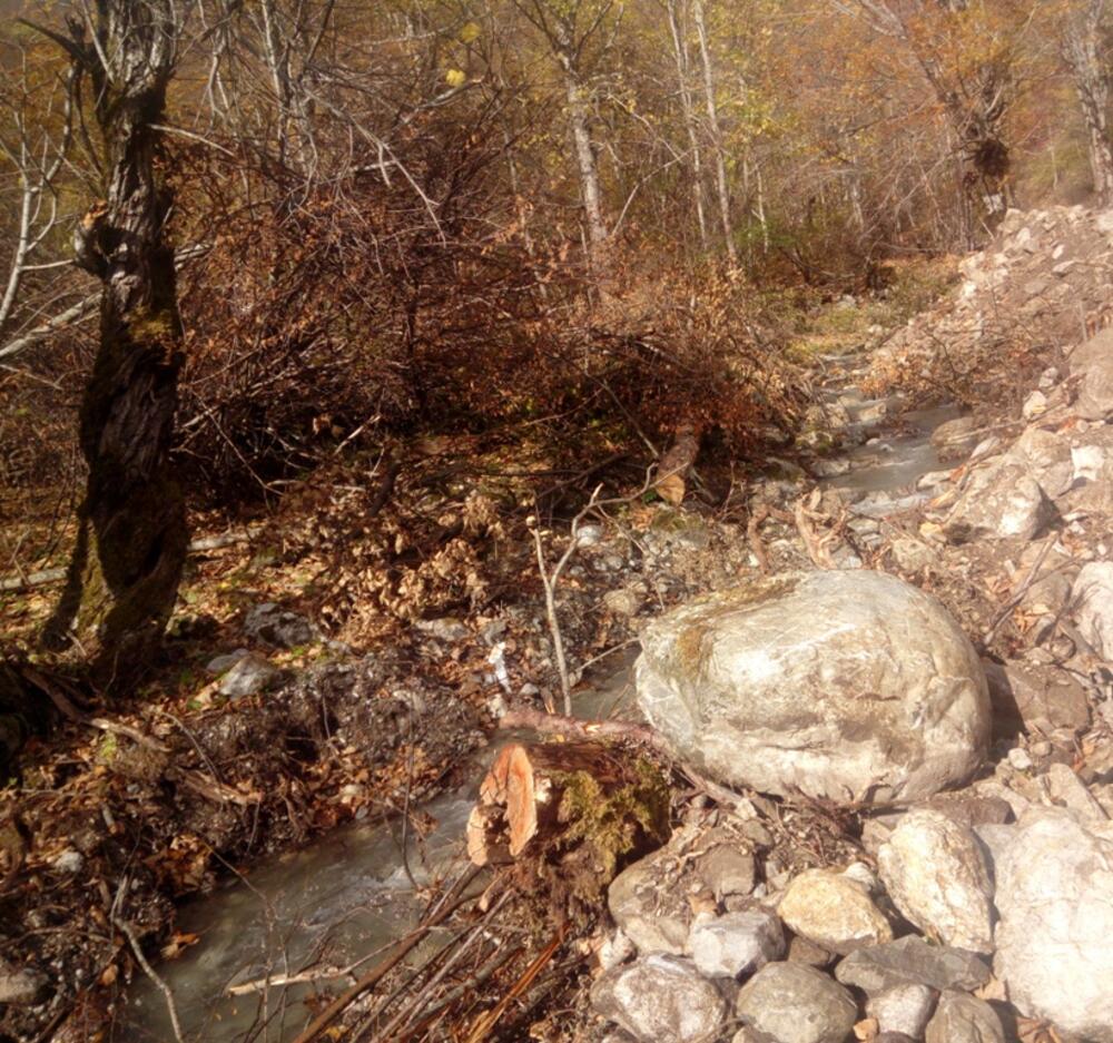 Moračka bistrica, protest