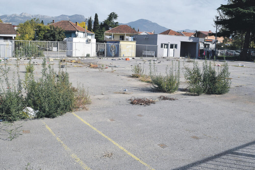 Konik, Foto: Luka Zeković