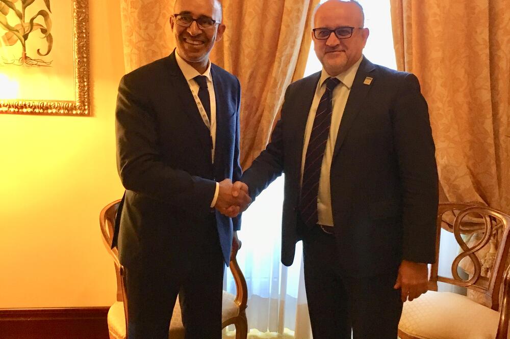 Srđa Darmanović, Foto: Ministarstvo vanjskih poslova