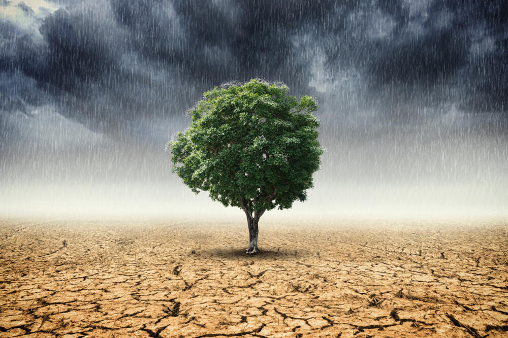 Klimatske promjene, Foto: Shutterstock