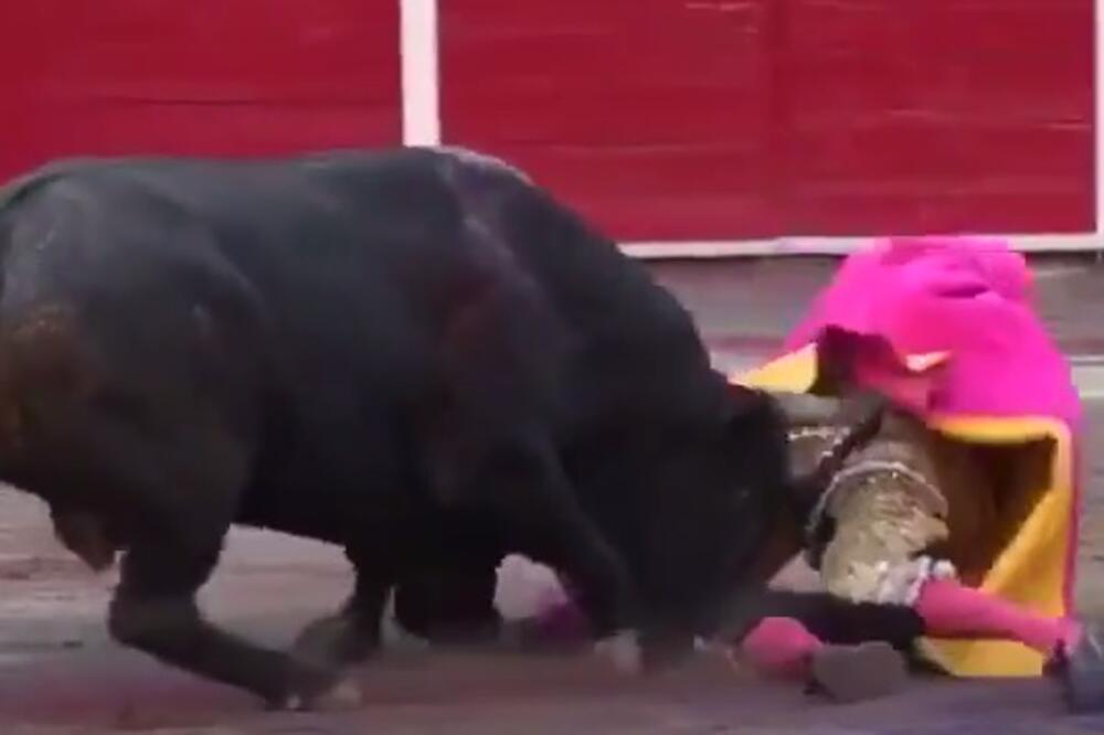 Bik, matador, Foto: Screenshot (YouTube)