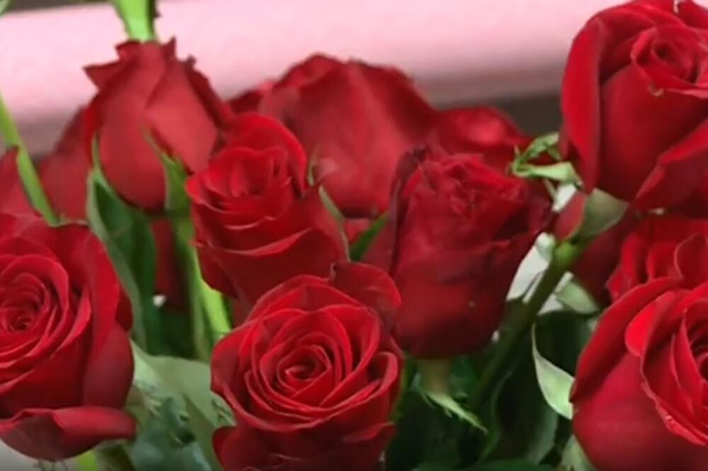 ruže, Foto: Screenshot (YouTube)