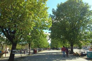 Prostor pamćenja i ljudske slobode