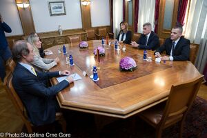 Brajović - Radomski: Važno održavanje političkog dijaloga