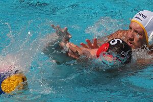 "Ajkule" u grupi Italijanima, Njemačkom i Rusijom