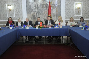 MUP i ubuduće može računati na podršku prijateljskih zemalja