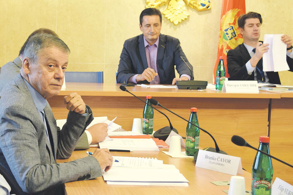 Odbor za ekonomiju finansije i budžet, Foto: Luka Zeković