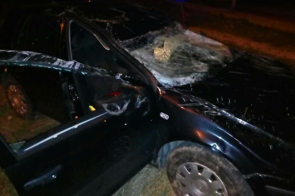 udes, Foto: Svetlana Mandić