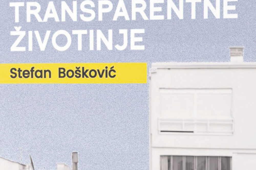 Transparentne životinje