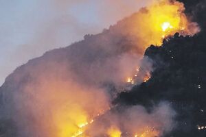 Rusi zapalili šumu u Stanišićima kod Budve?