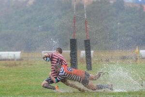 Ragbisti Arsenala i Cetinja u Adria ligi