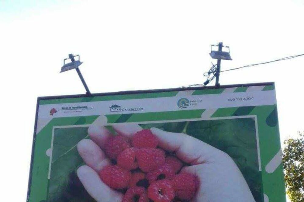 maline OSI, Foto: NVO "Da zaživi selo"