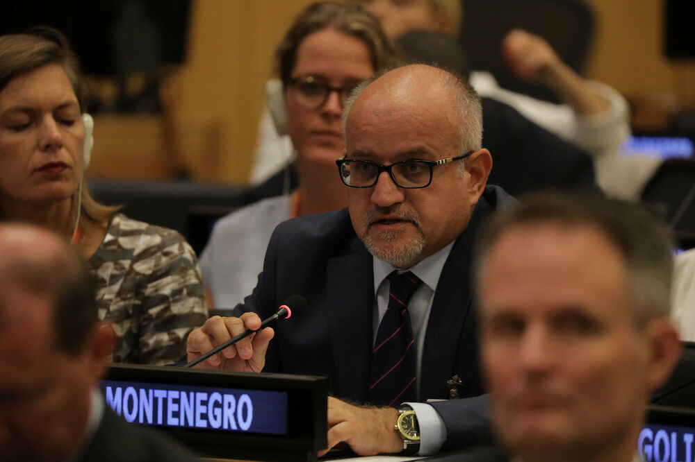 Srđan Darmanović, Foto: Delegacija EU