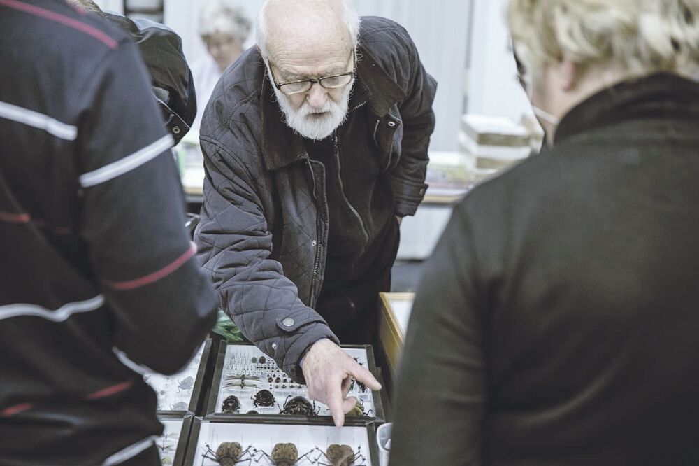 Jan Švankmajer (novina)