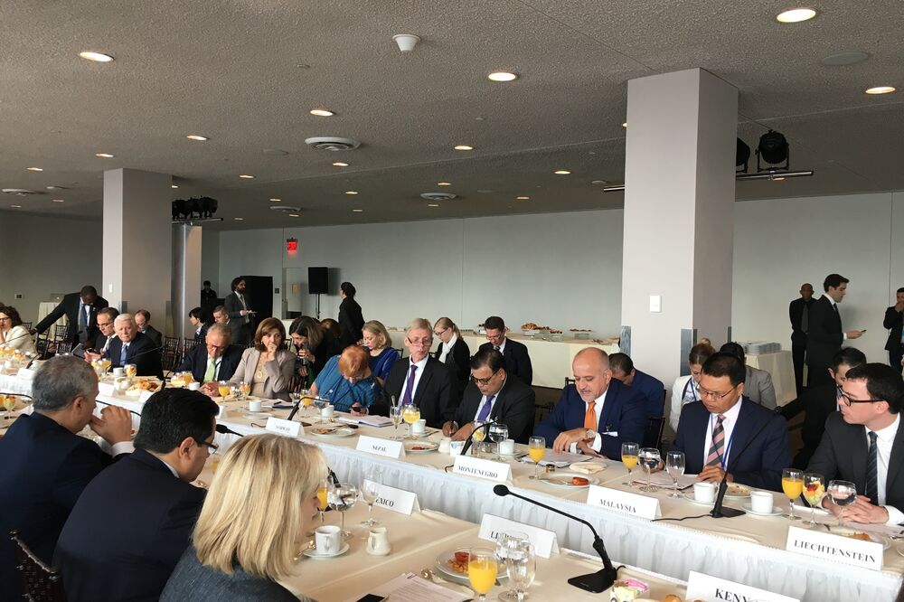 Srđan Darmanović Njujork, Foto: Ministarstvo vanjskih poslova