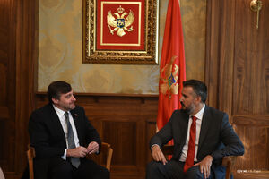 Sastanak Pejović-Palmer: SAD nastavljaju da podržavaju reforme u...