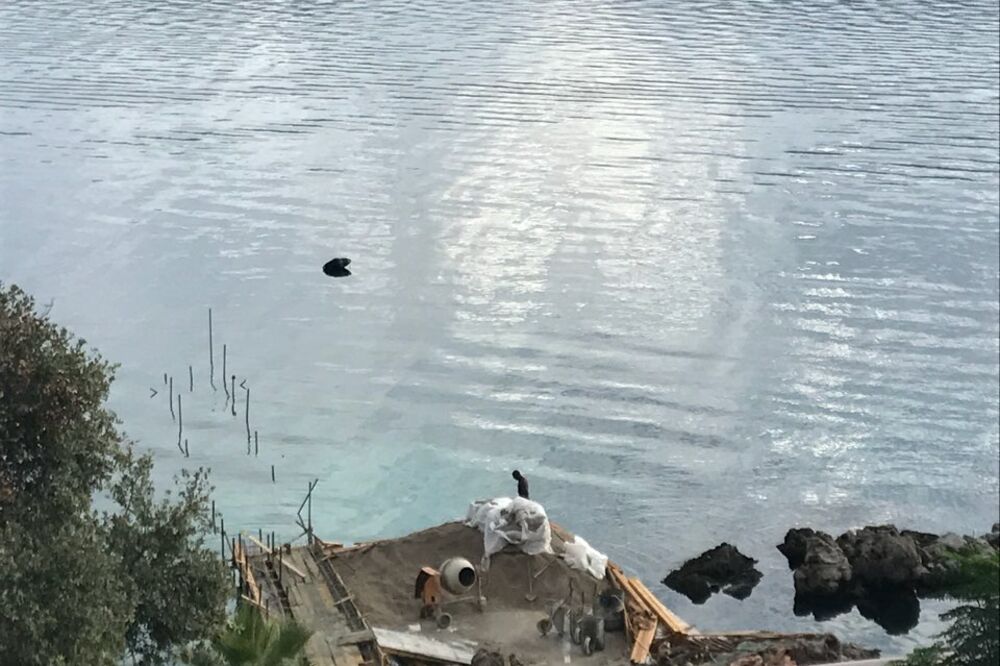 Ponta Tivat, Foto: Čitalac reporter